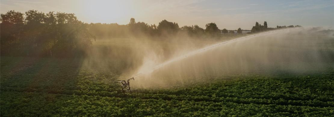 uku-dunya-gida-gunu-web3