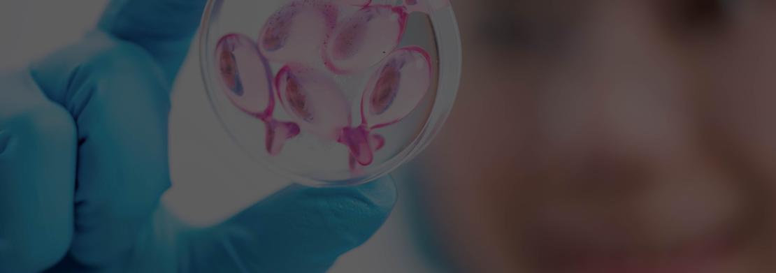 uku-organ-nakli-haftasi-web3