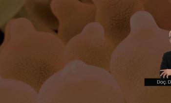 uku-organ-nakli-haftasi-web1