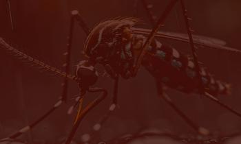 West Nile Virus_ The journey from mosquito to brain-04.jpg