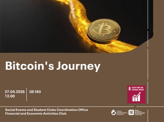 Bitcoin's Journey 2-03.jpg