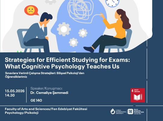 Strategies for Efficient Studying for Exams--03.jpg