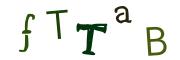 Resimli CAPTCHA